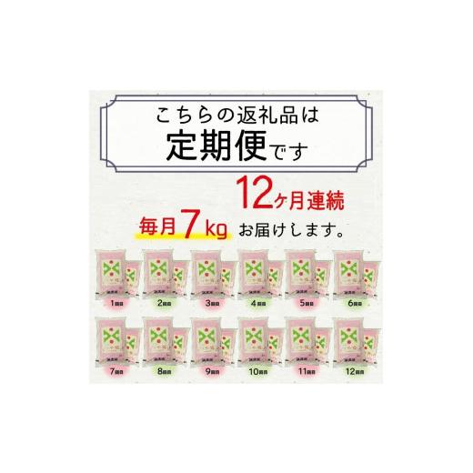 ふるさと納税 山形県 酒田市 SP0003　無洗米 つや姫　7kg×12回(計84kg) TO