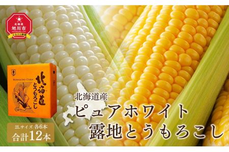 北海道産ピュアホワイト・露地とうもろこし　計12本 2024年8月下旬から発送開始予定