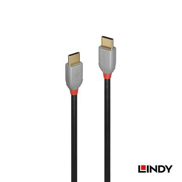 LINDY 林帝 ANTHRA USB 2.0 Type-C 公 to 公 傳輸線 2m 兩入組 (36872)