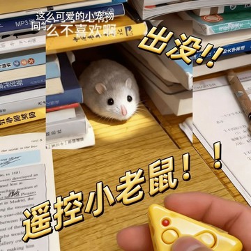 超逼真漂移老鼠 可動仿真老鼠玩具 逗貓玩具 抽象小玩意 解壓玩具 貓貓玩具 趣味整蠱 發光玩具小老鼠 寵物玩具 交換禮物