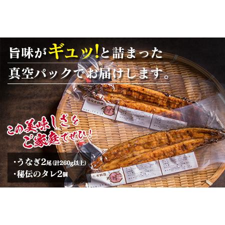 ふるさと納税 職人手焼きうなぎ蒲焼2尾(計260g以上)　鰻　ウナギ　魚　魚介　国産 CD40-23 宮崎県日南市