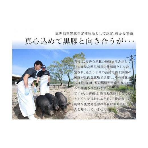 ふるさと納税 鹿児島県 いちき串木野市 A-616 高校生が育てた金の桜黒豚丼 180g×６袋