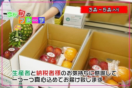  フルーツ セット Sサイズ 詰め合わせ 約3 ～ 5品 ｜産直あきんど 創業100年