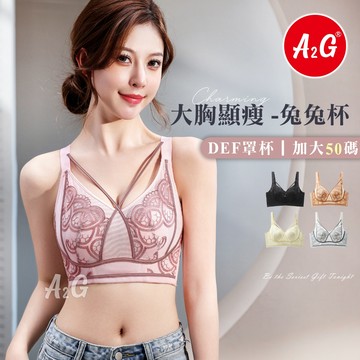 絕版【A2G】隔日到貨【法式內衣、加大50碼】性感透膚 兔兔杯 無鋼圈內衣 鏤空蕾絲 美背設計 性感內衣300