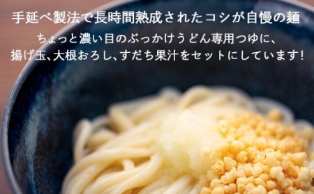 さぬき小豆島の冷凍ぶっかけうどん 8食セット