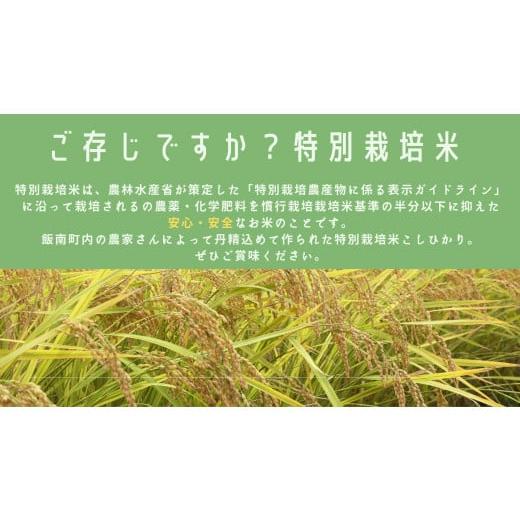 ふるさと納税 島根県 飯南町 島根県飯南町産 特別栽培米こしひかり（２kg×４袋） ×６回 【 米 こしひかり 新米 令和5年度産 2023年産 ブランド米 減農薬 減…