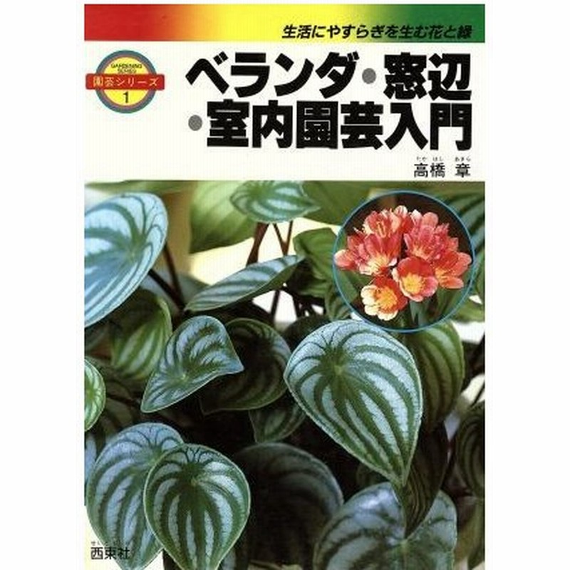 ベランダ 窓辺 室内園芸入門 高橋章 著者 通販 Lineポイント最大0 5 Get Lineショッピング
