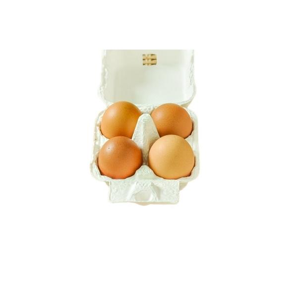 朝市場直行　卵・卵加工品　極みたまご　栃木県　４個