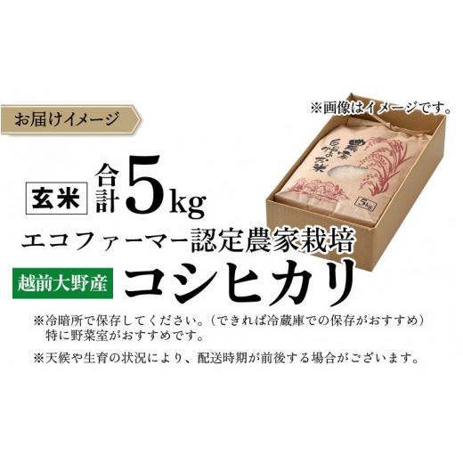 ふるさと納税 福井県 大野市 越前大野産 エコファーマー認定農家栽培 こしひかり5kg（玄米）