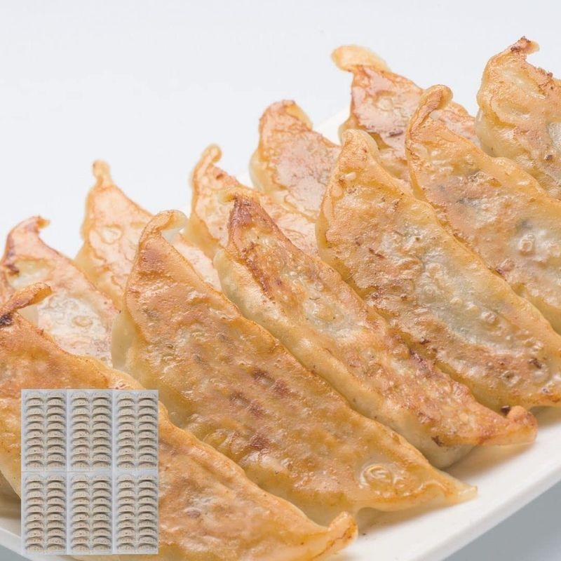 大豆ミート 餃子 soy meat gyoza 120個入り(40個入り×3セット)