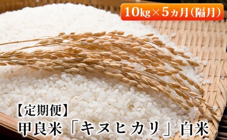 新米　令和5年産甲良米「キヌヒカリ」白米　10kg×5ヵ月（隔月）