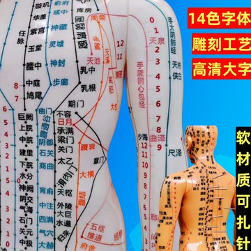 {可打統編 保固一年}十二經絡小銅人全身男女經絡穴位模型中醫針灸人體模型扎針小皮人
