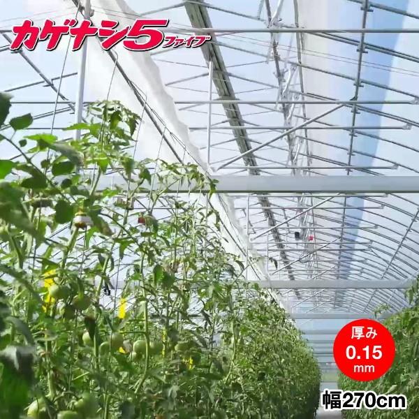 高機能農業用塗布型POフィルム　カゲナシ5　厚さ0.15mm×幅270cm　ご希望の長さ(m)を数量で入力してください