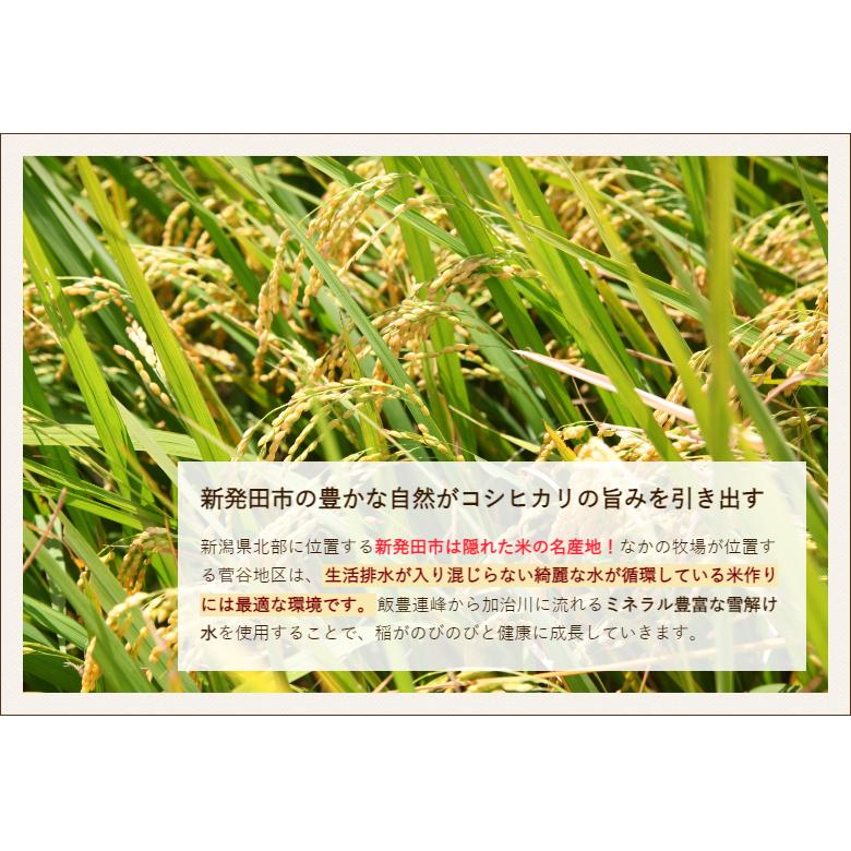 特別栽培米（減農薬・減化学肥料）新潟産コシヒカリ 精米5kg なかの牧場 のし無料 送料無料
