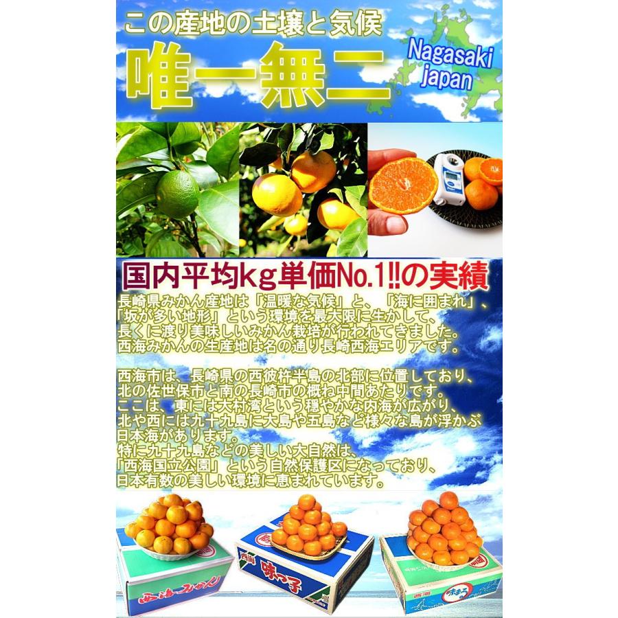 味まる蜜柑 約5kg 長崎県産 秀品限定 贈答規格 JAながさき西海 光センサー選果で糖度12度保障！長崎県が誇るブランド果物、西海みかん