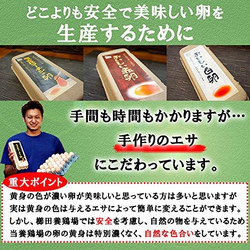 櫛田養鶏場のおいしい白卵餌にこだわった超新鮮たまごを養鶏場から直送！