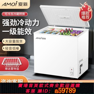 【廠家直銷 可打統編】夏新小冰柜家用全冷凍小型大容量臥式冰柜雪糕雙溫宿舍雙門
