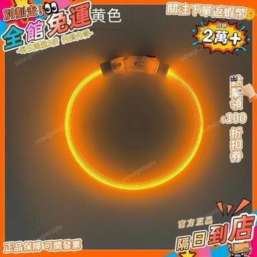 免運費🚀LED發光遛狗項圈塑膠材質自由裁剪夜冒燈帶充電功能防走失遛狗必LGD
