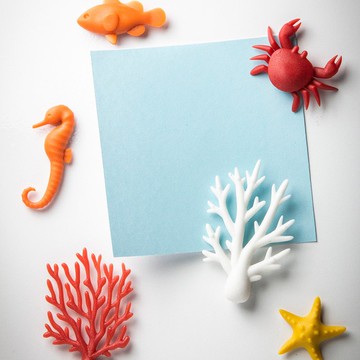 QUALY 熱帶海洋-磁鐵(6入)