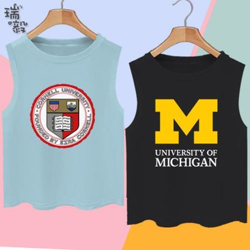 歐美名校學院風密歇根康奈爾大學純棉背心男女兒童學生無袖T恤衫