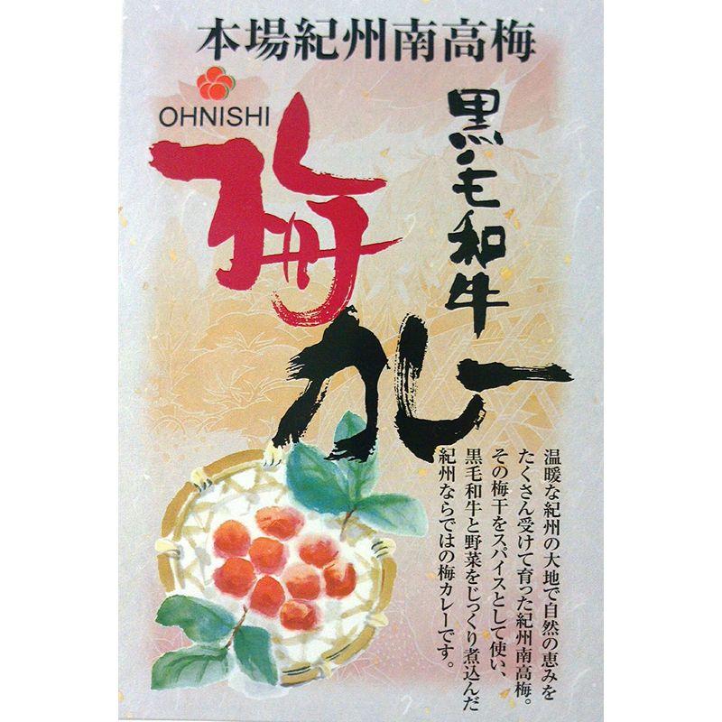 10箱セット 黒毛和牛カレー 梅肉入り200g ×10箱セット(箱入) 全国こだわりご当地カレー