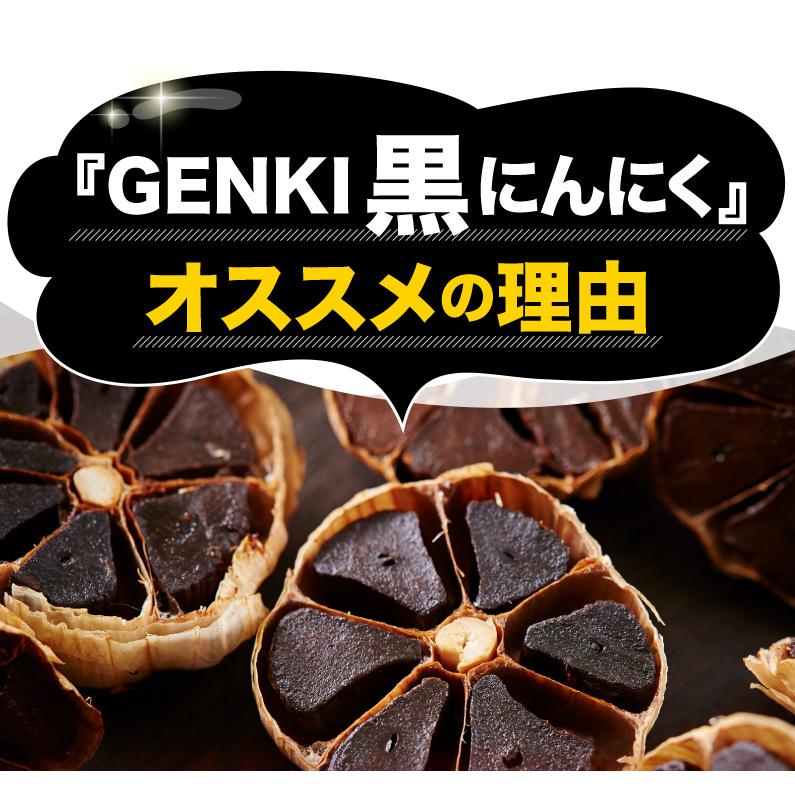 GENKI黒にんにく 1箱(5gx30包) 醗酵黒生姜 ガシュツ末 梅エキス 野菜酵素　フラクトオリゴ糖 シールド乳酸菌 黒ニンニク サプリ 健康 腸活 国産素材 メール便