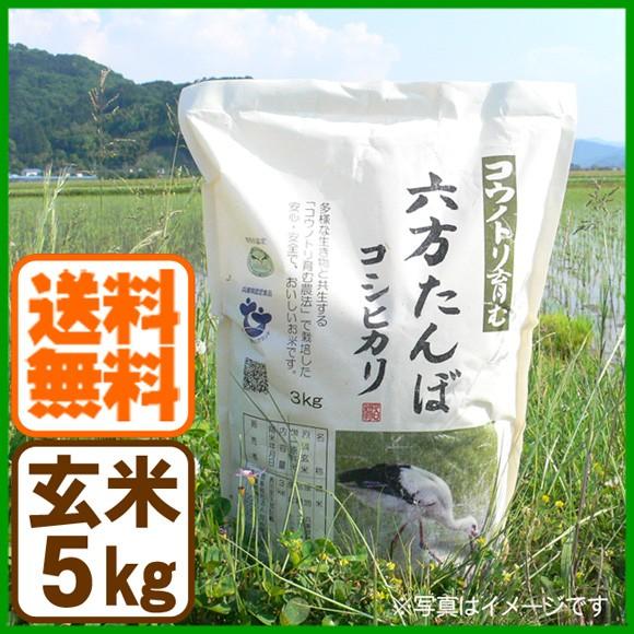 新米 コシヒカリ 玄米 5kg こうのとり米 令和5年産 送料無料 兵庫県産