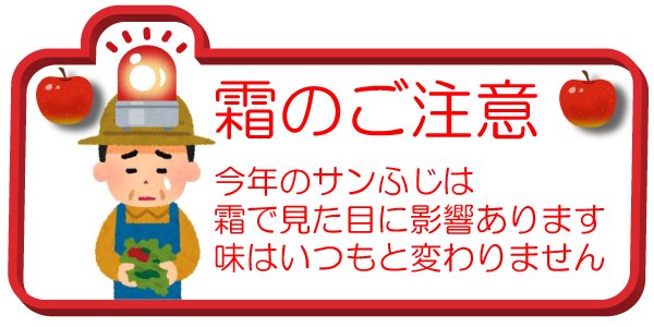 本日限定10%OFF　訳あり　サンふじ 11キロ