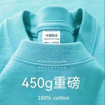 台灣出貨 一件抵5件 450g重磅短袖 100%純棉短袖 厚實重磅T恤 厚實不透短袖 男女短袖 寬鬆短袖 純色短袖 短袖