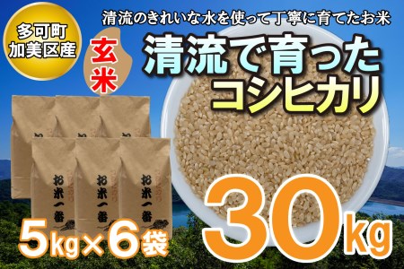 多可町加美区の清流で育ったコシヒカリ５kg×６袋[831]