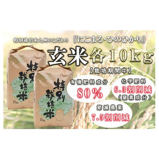 ふるさと納税 長崎県 諫早市 令和5年産九州のこだわり玄米食べ比べ(10kg×2)