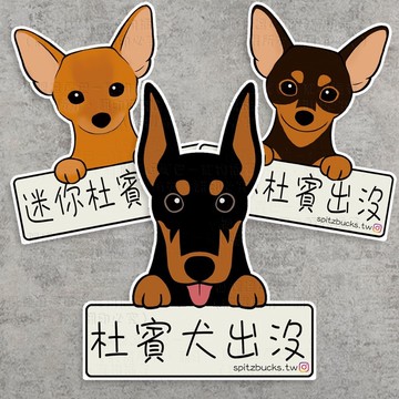 杜賓 現貨 杜賓犬出沒 迷你品杜賓 小鹿犬 黑四目 棕 防水貼紙 車貼 安全帽 行李貼 生日禮物 交換禮物 聖誕禮物