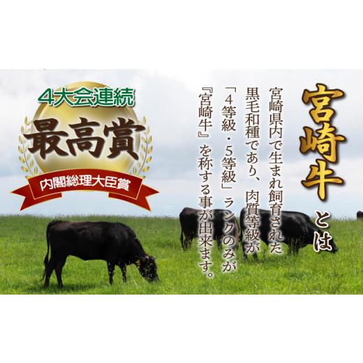 ふるさと納税 宮崎県 串間市 KU480 宮崎県産 宮崎牛バラ焼肉用 250g×4パック 合計1kg