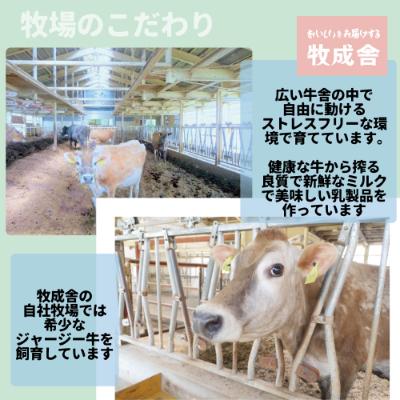 ふるさと納税 飛騨市 飛騨の牛乳屋・牧成舎の牛乳オリジナルドリップコーヒーヨーグルト