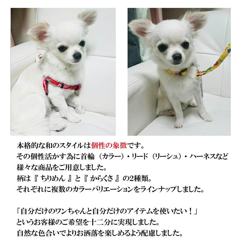 犬用 首輪 和柄 からくさ Zenpets 唐草 15mm幅 送料無料 オシャレ かわいい