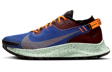 PEGASUS TRAIL 2 GTX MYSTIC DATES BLUE