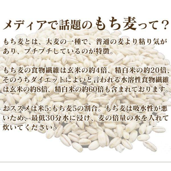 もち麦 国産 500g 全国 産直米 お奨め おすすめ ポイント消化 特産品