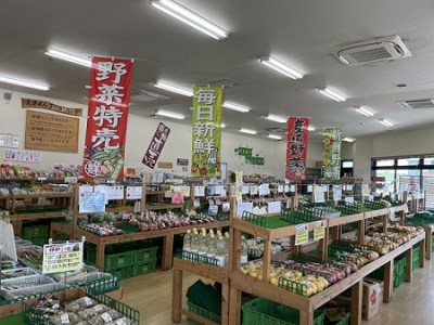 季節の野菜 詰め合わせ 8品以上年4回 春夏秋冬 おまかせ セット 産地直送 新鮮