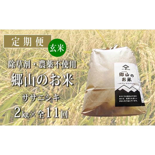 ふるさと納税 秋田県 にかほ市 定期便 2kg×11ヶ月 農薬・除草剤不使用 体に優しい ササニシキ「郷山のお米」