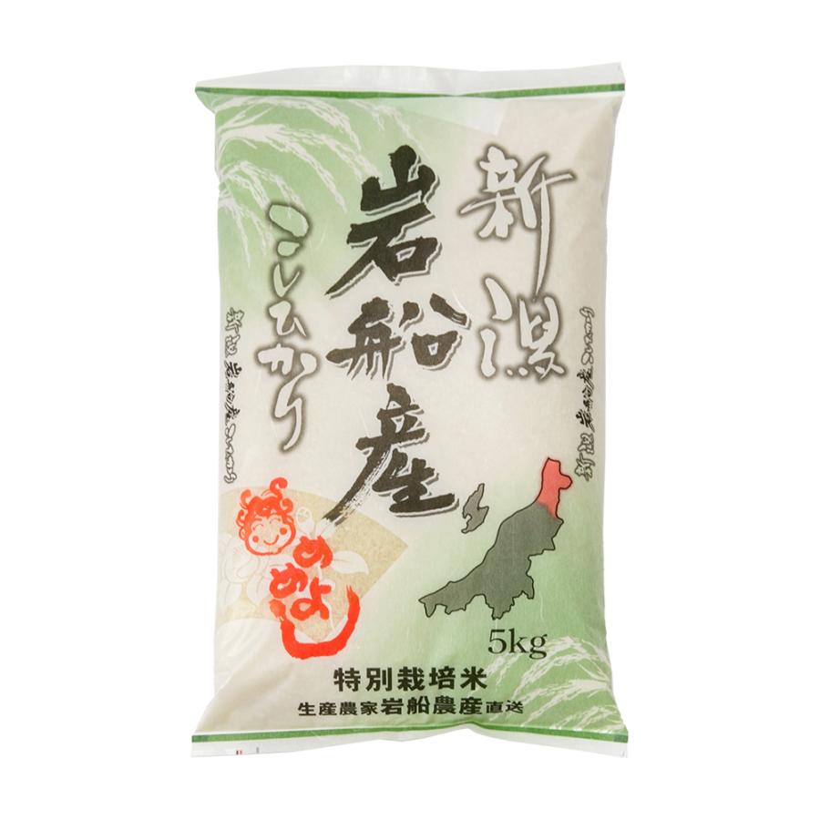 特別栽培米（減農薬・減化学肥料）岩船産コシヒカリ 精米5kg 岩船農産 送料無料