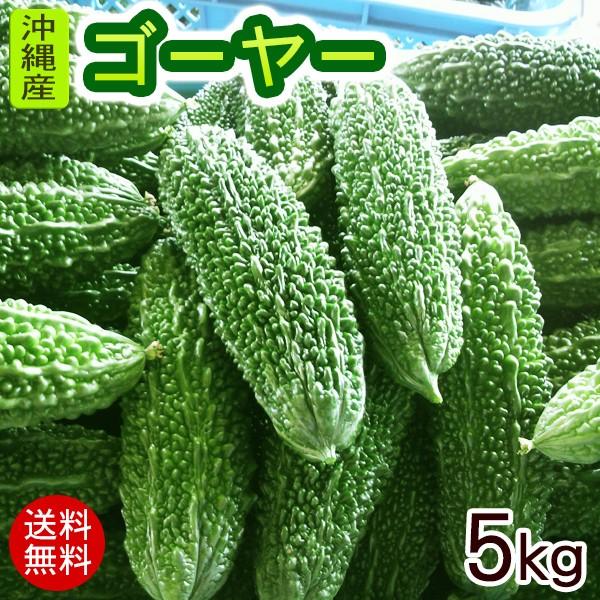 沖縄産 ゴーヤー 約5kg（20〜25本）　冷蔵発送（送料無料）