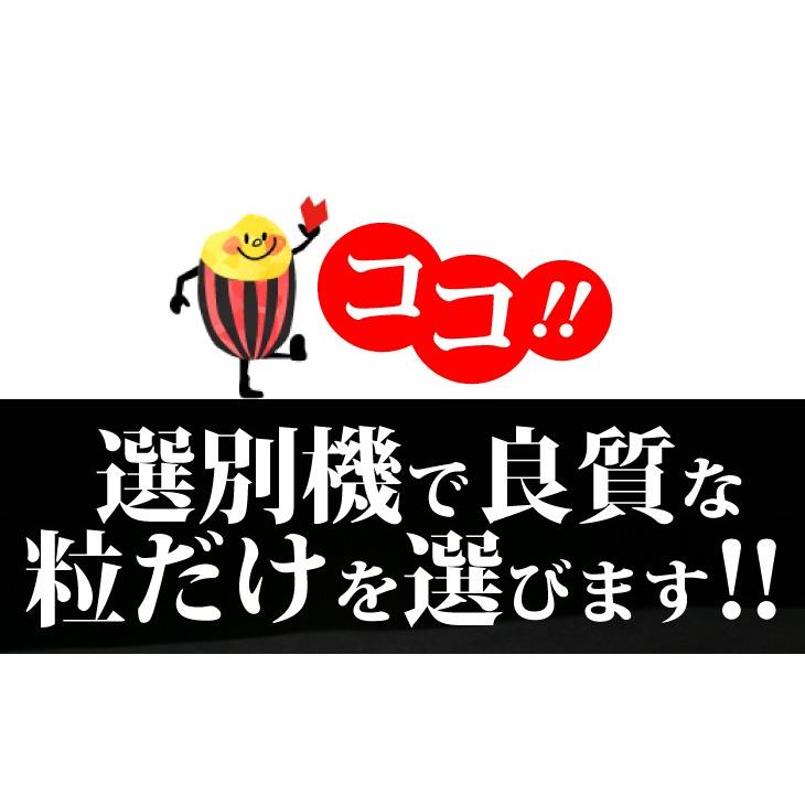 米 お米 5kg こしひかり 新米 令和5年 まとめ買い 業務用米 安い 埼玉県産 送料別