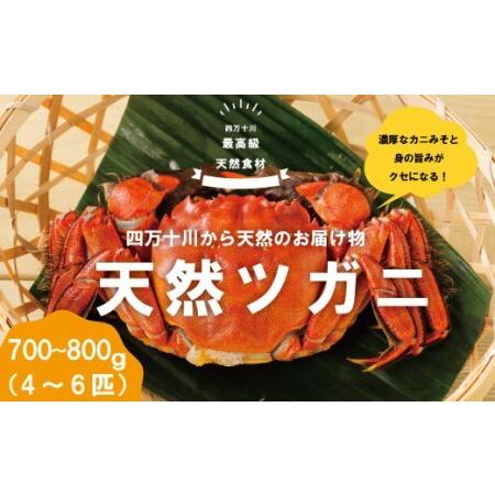 ふるさと納税 R5-030．最高級天然食材！四万十川の天然ツガニ 約700g〜800g（4〜6匹） 高知県四万十市