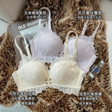 日系 蕾絲內衣女 小胸 聚攏內衣 舒適 無鋼圈內衣 調整型內衣 收副乳 上託 防下垂內衣 舒適 文胸罩