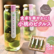 食卓が華やぐ♪前菜やワインのお供に!桃のピクルス「小桃も桃も桃のうち」3本ギフト