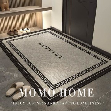 玄關入戶門地墊輕奢高級感圈絨耐臟腳墊室內外門口吸水腳墊