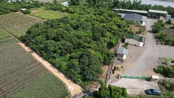 大樹臨路地勢平坦有水有電荔枝農園02875｜高雄市大樹區大樹保安段