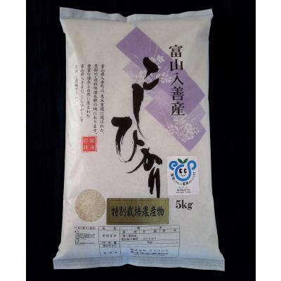 ふるさと納税 入善町 令和5年産　特別栽培米こしひかり　精米5kg×3袋