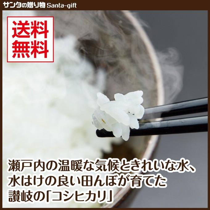 5kg 新米 香川県産 コシヒカリ 令和4年産 白米 3日営業日以内に発送 送料無料