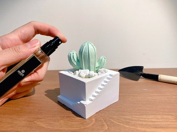 仙人掌擴香石組合包